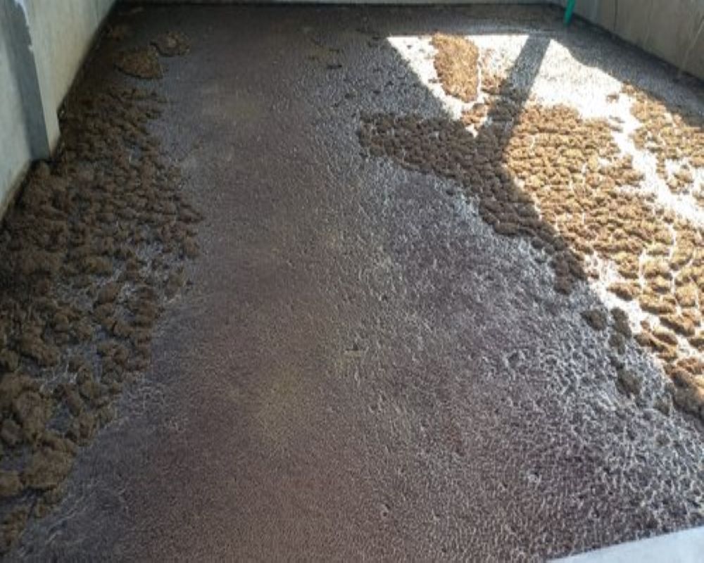 Biogas slurry