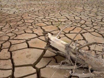 Dry cracked degraded land