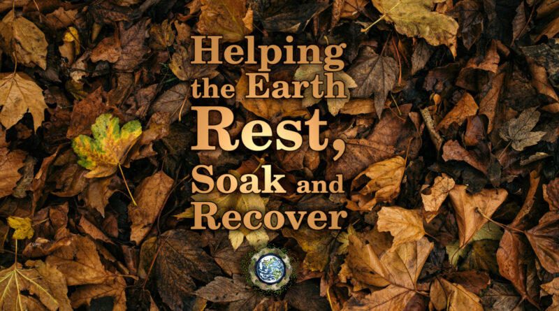 Helping earth rest soak and recover