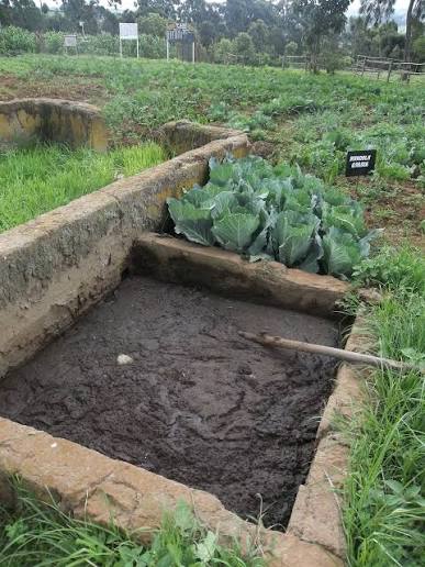 Slurry preparation bed