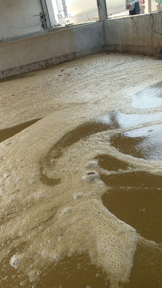 Slurry processing tank